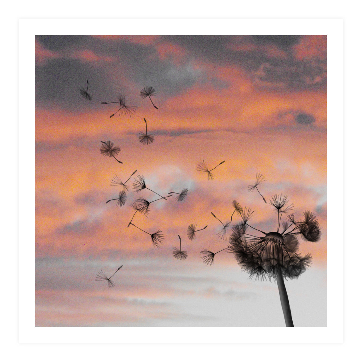 And The Days Went By (Print Only)