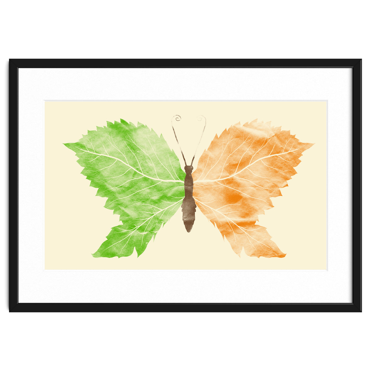 Seasons Change Time Flies