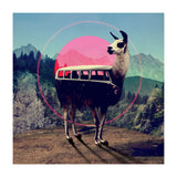 Llama (Print Only) thumbnail