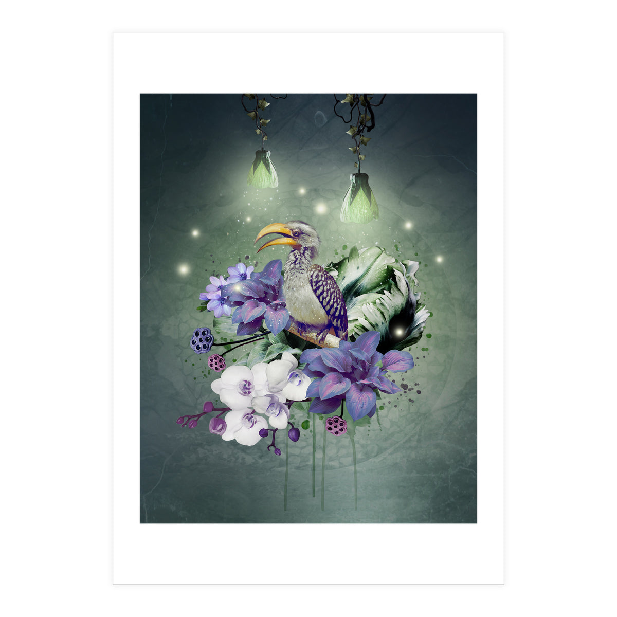 Floral Magic Hornbill  (Print Only)