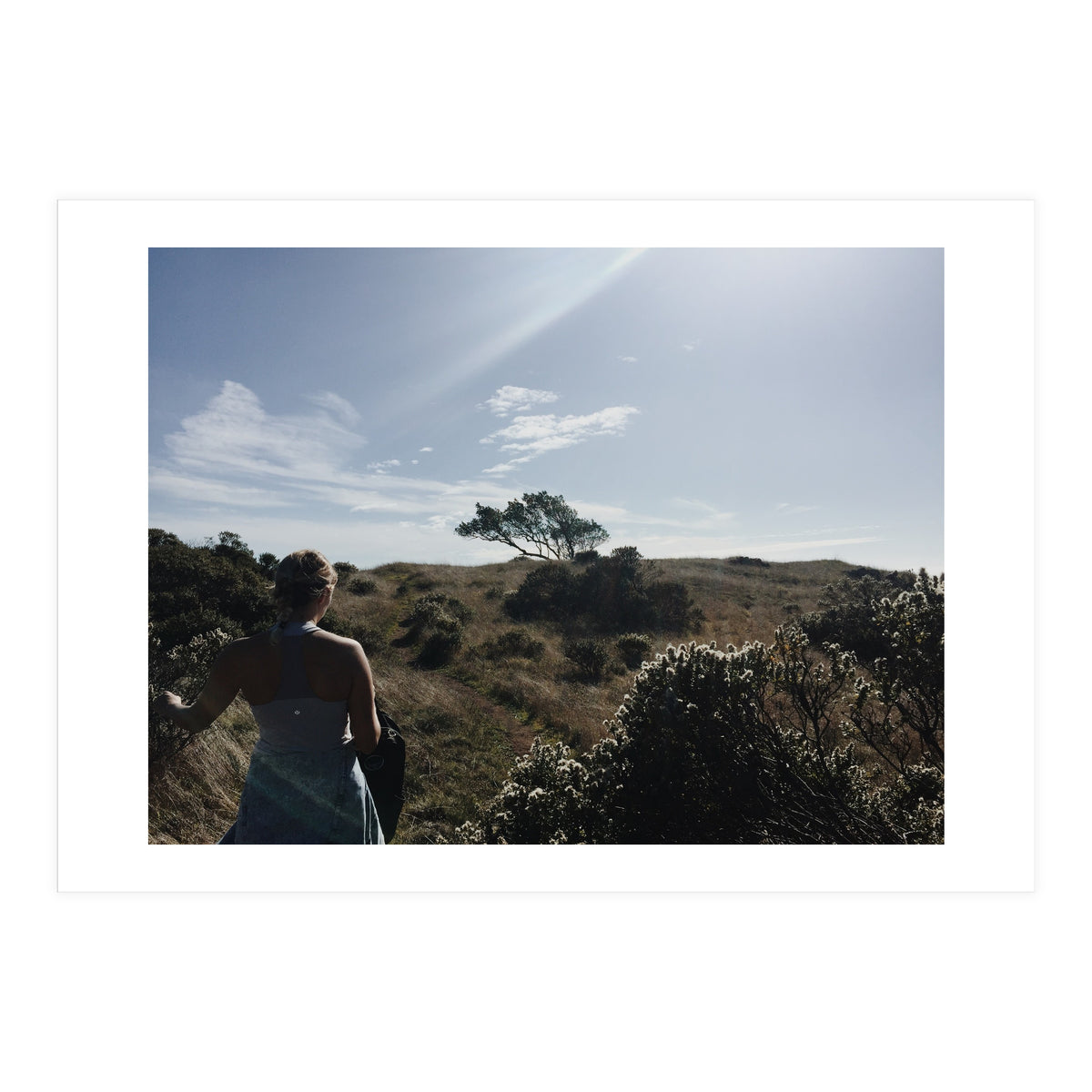 Mt. Tamalpais (Print Only)