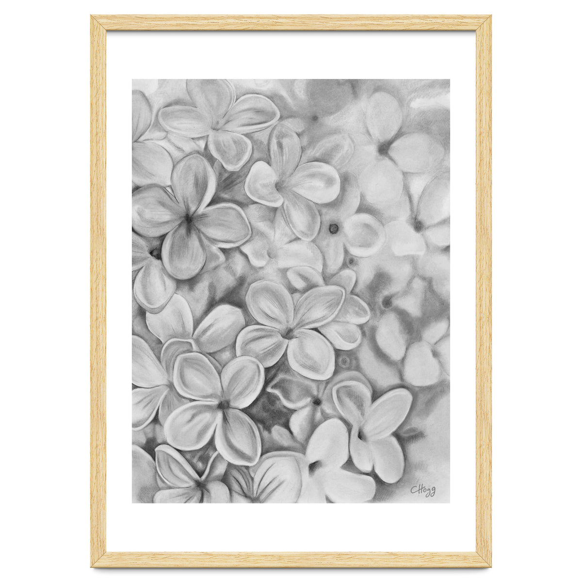 The Essence Of Spring in Monochrome