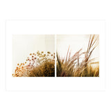 Adagio (Print Only) thumbnail