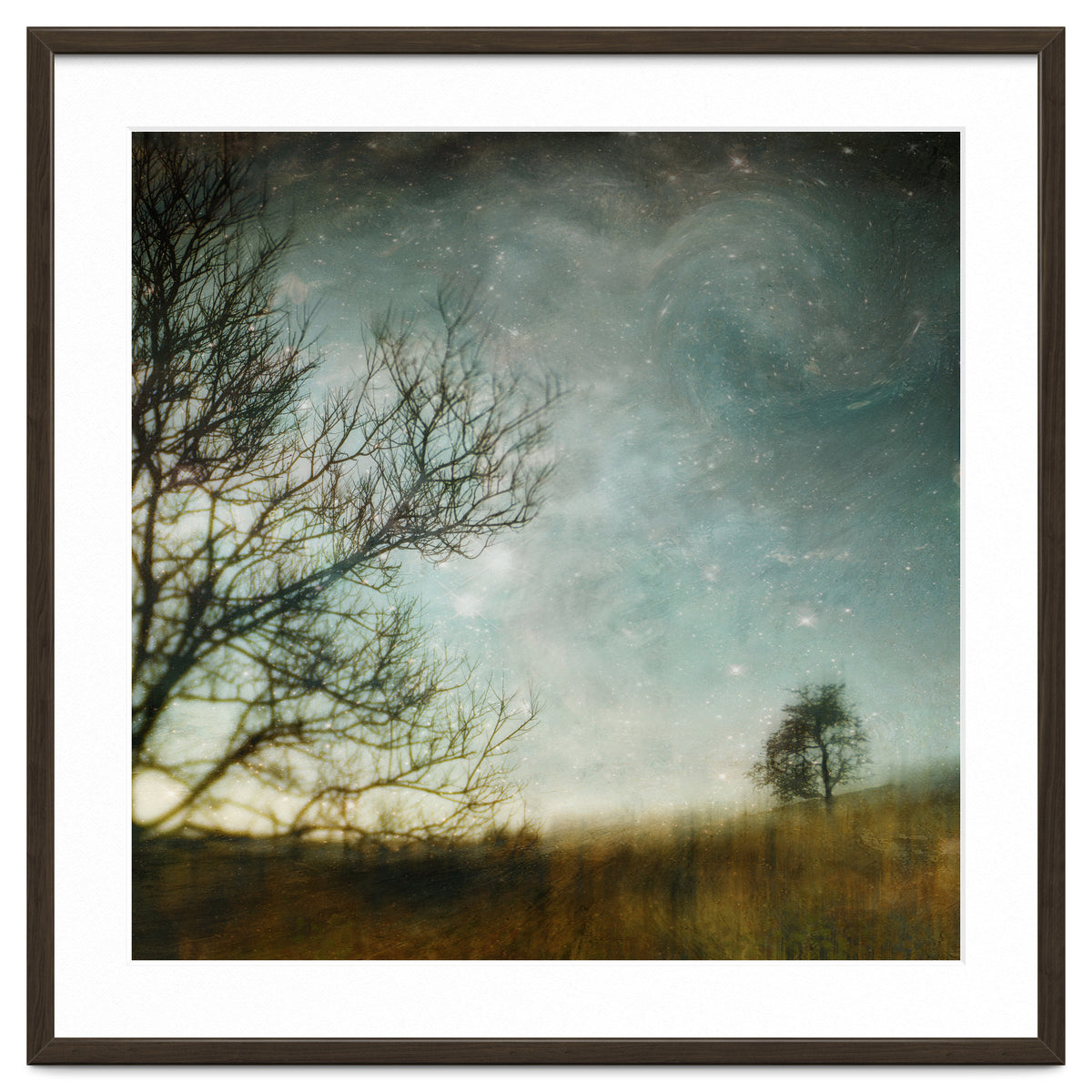 The Tree That Whispered