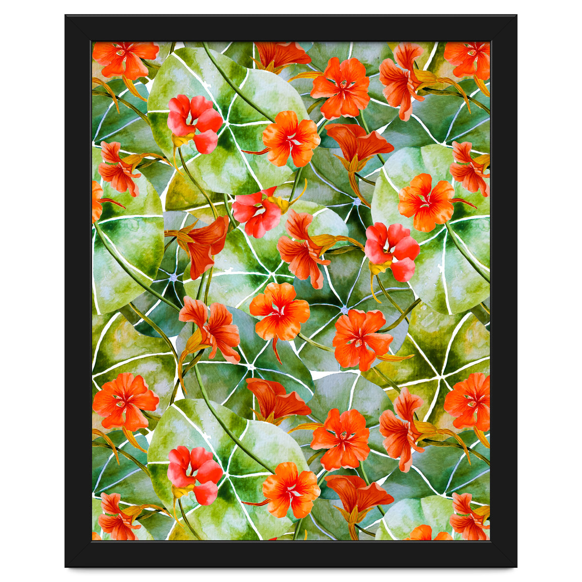Nasturtiums watercolor 01