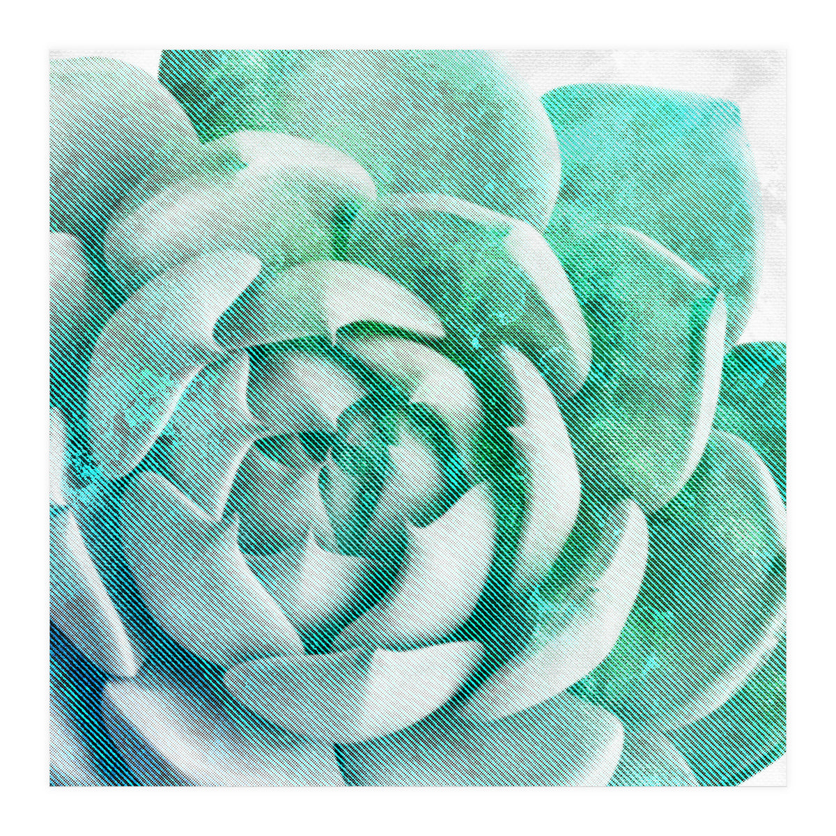 Rough Beauty 1 (Print Only)