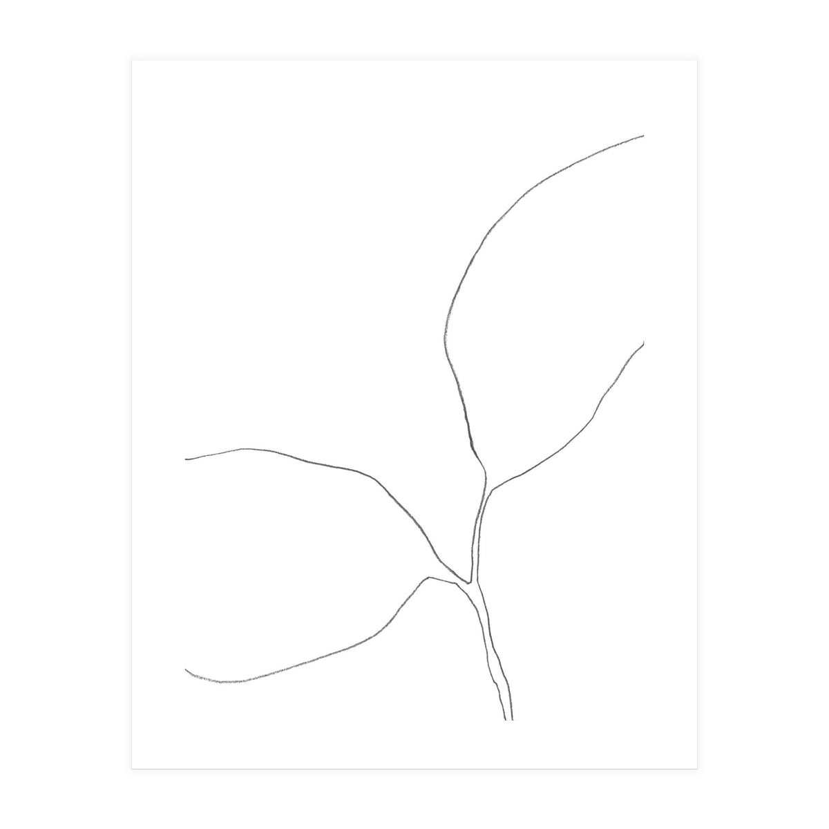 Seedling Leaning Left (Print Only)