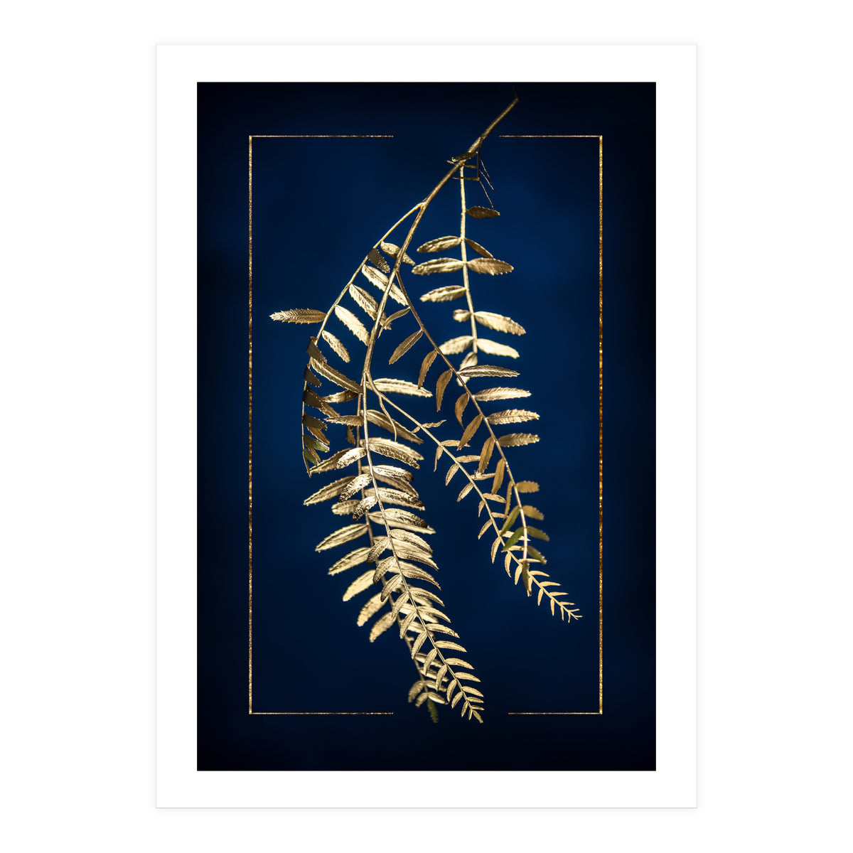 Golden Pepper Tree (Print Only)
