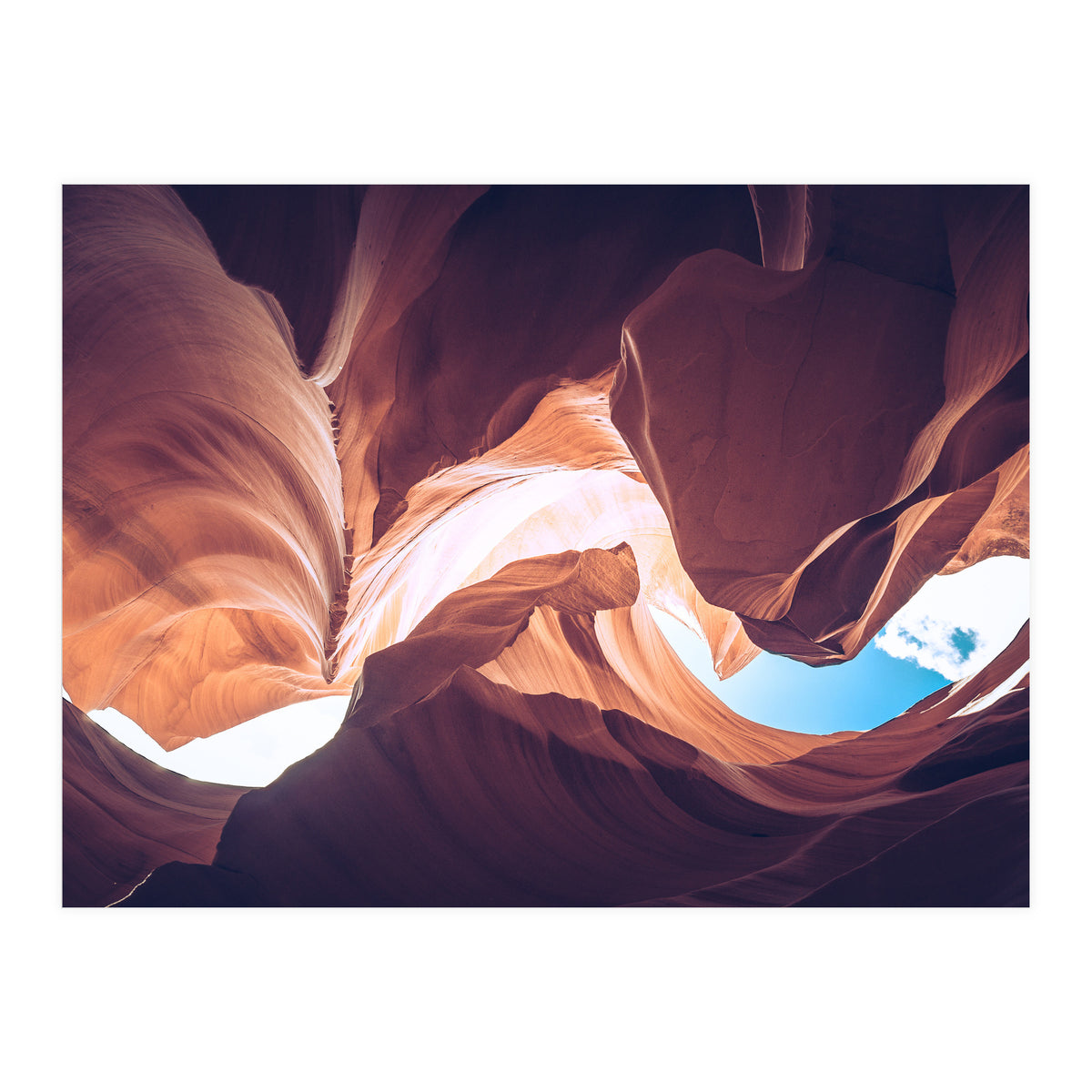 Twisted (Print Only)