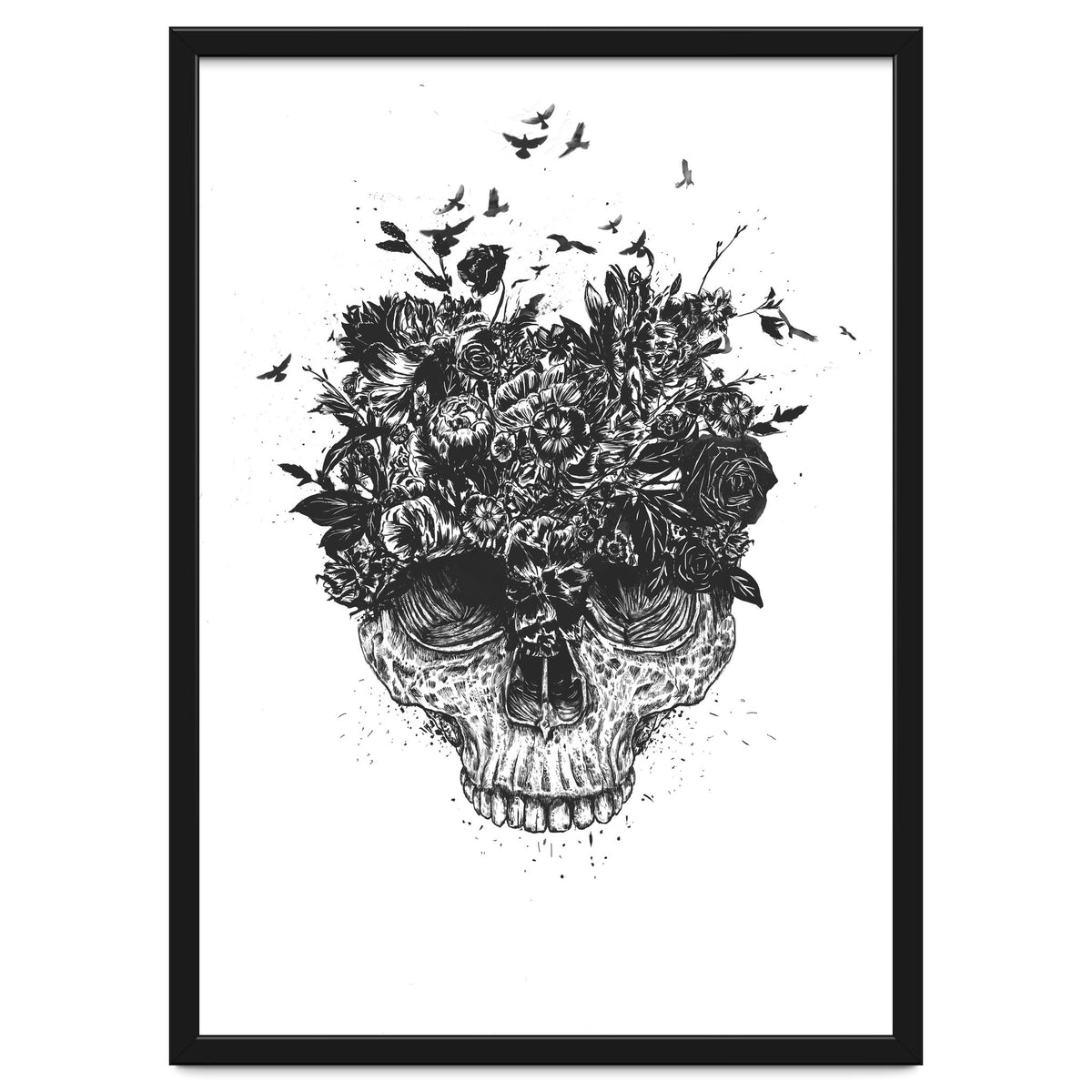 My Head Is A Jungle Bw