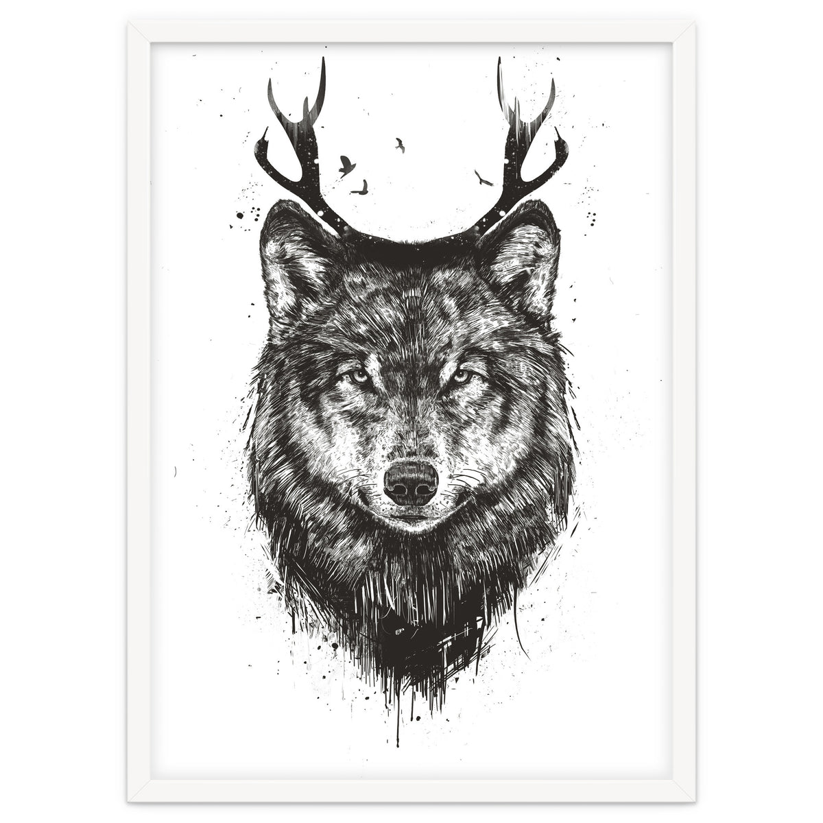 Deer Wolf Bw
