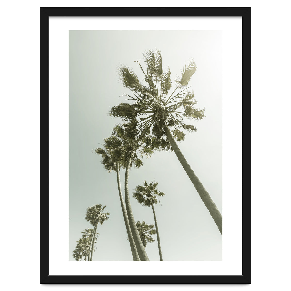 Vintage Palm Trees
