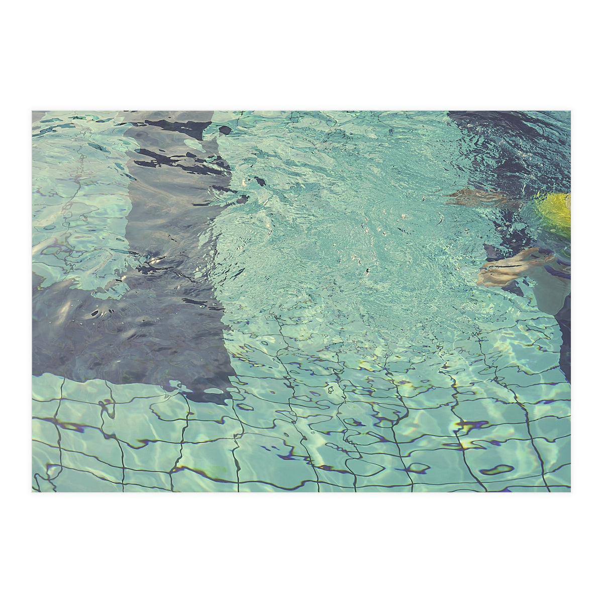 Pool Swimming (Print Only)