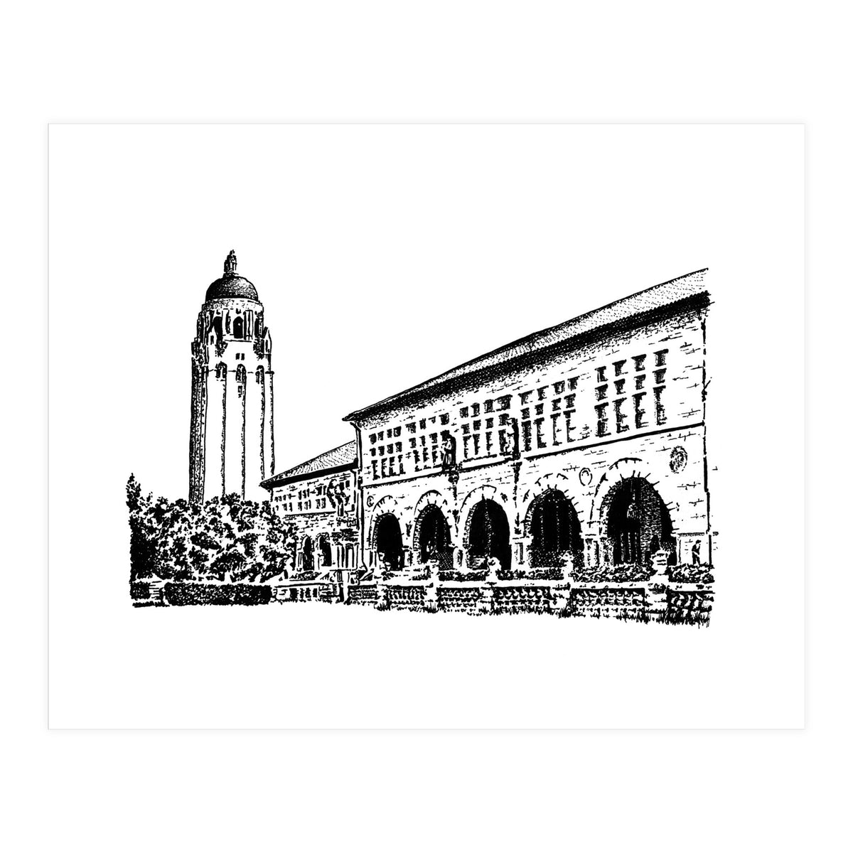 Stanford University (Print Only)