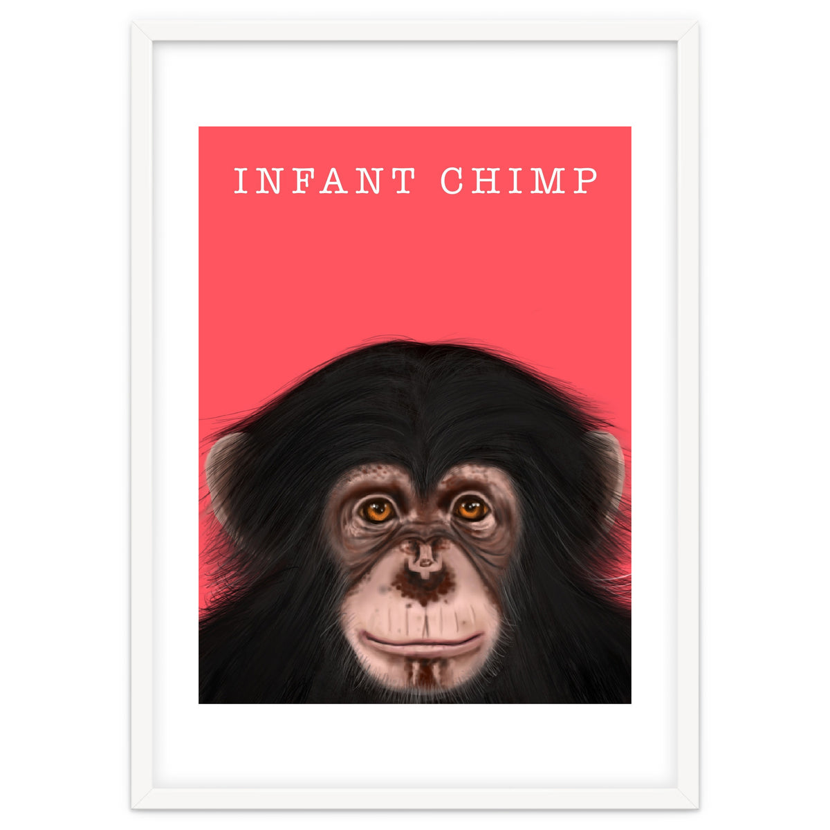 Infant Chimp