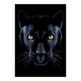 Panther (Print Only) thumbnail