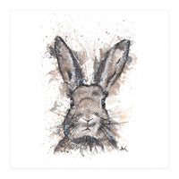 Rabbit - Wildlife Collection (Print Only)