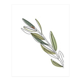 Leaf III (Print Only) thumbnail