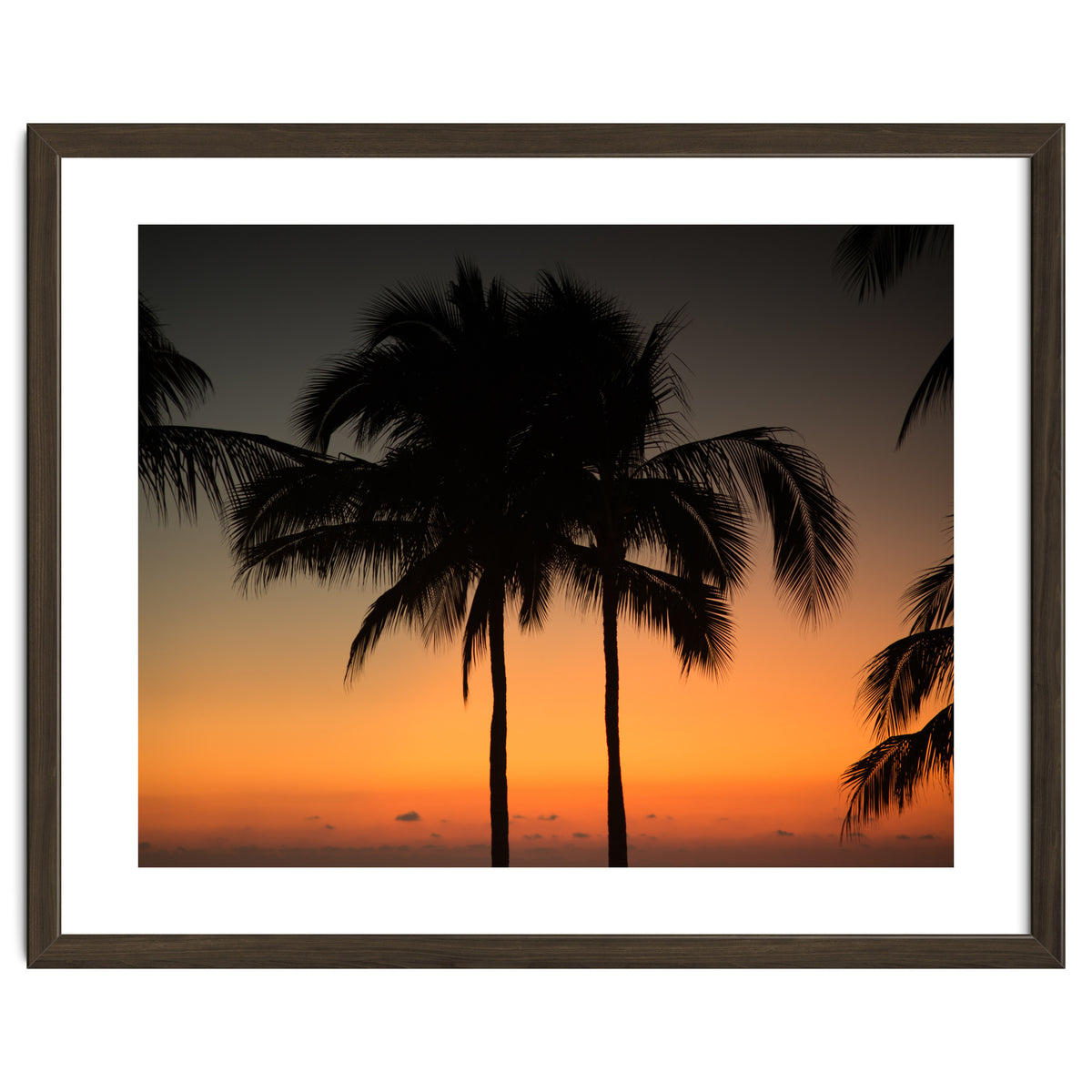 Mexico, November nights