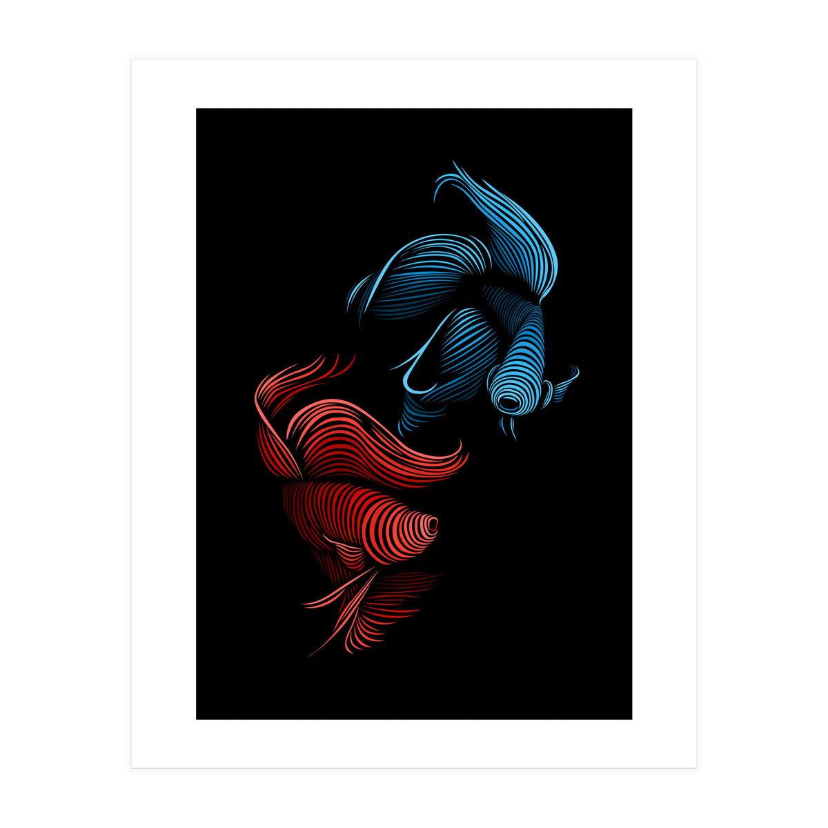 bettas fight (Print Only)