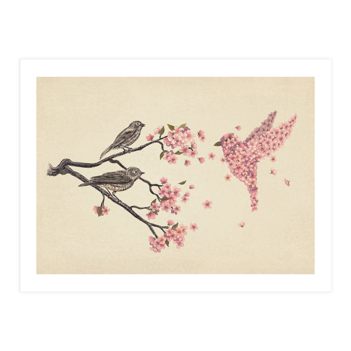 Blossom Bird (Print Only)