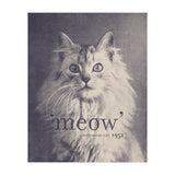 Famous Quote Cat (Print Only) thumbnail