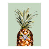 Pineapple Owl (Print Only) thumbnail