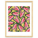 Caladium, Botanical Tropical Nature Plants, Vintage Bohemian Exotic Blush Leaves thumbnail