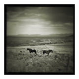 Gillen (Print Only) thumbnail