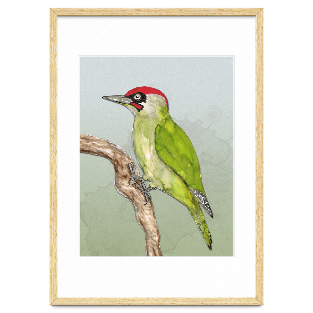 Green woodpecker