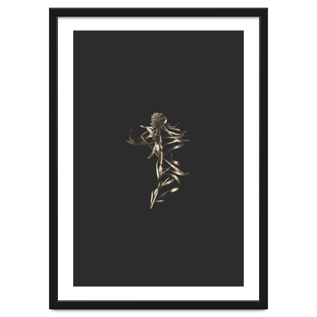 Magical Golden Fynbos