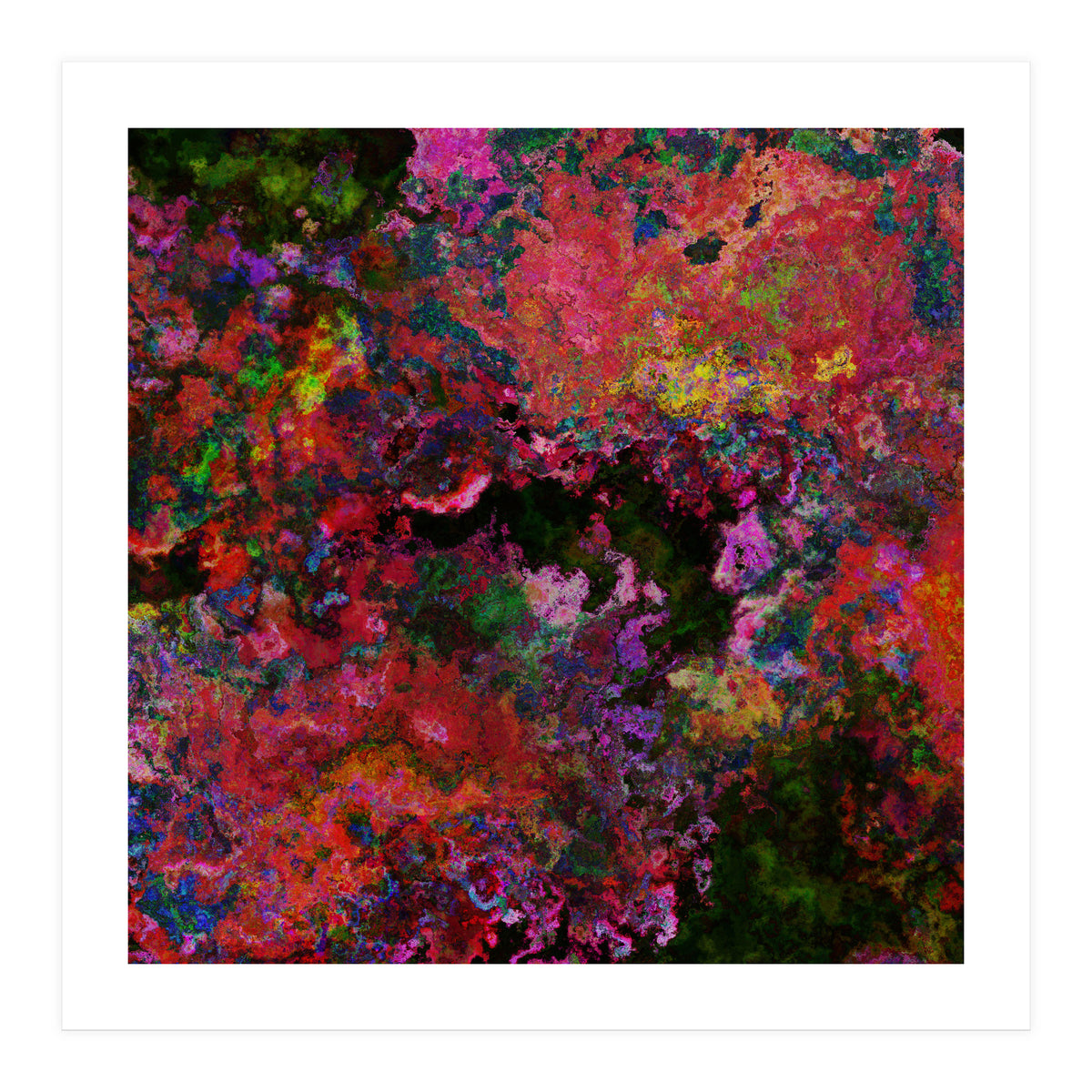 Blooms  (Print Only)