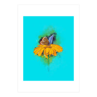 Butterfly 5 (Print Only)