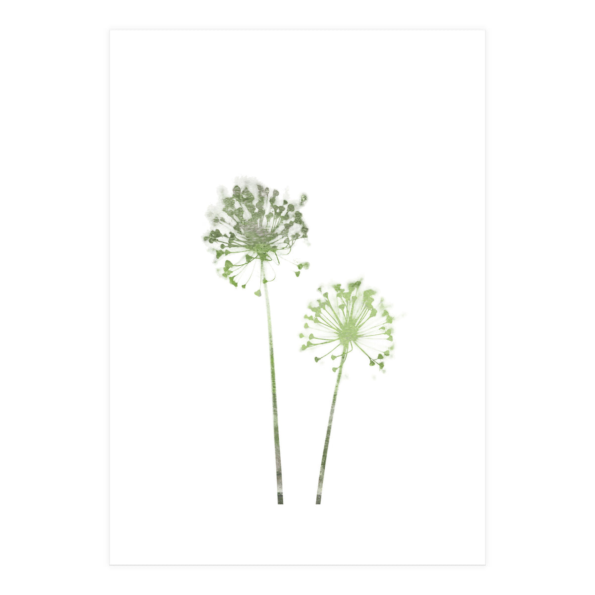 Olive Green Dandelion (Print Only)