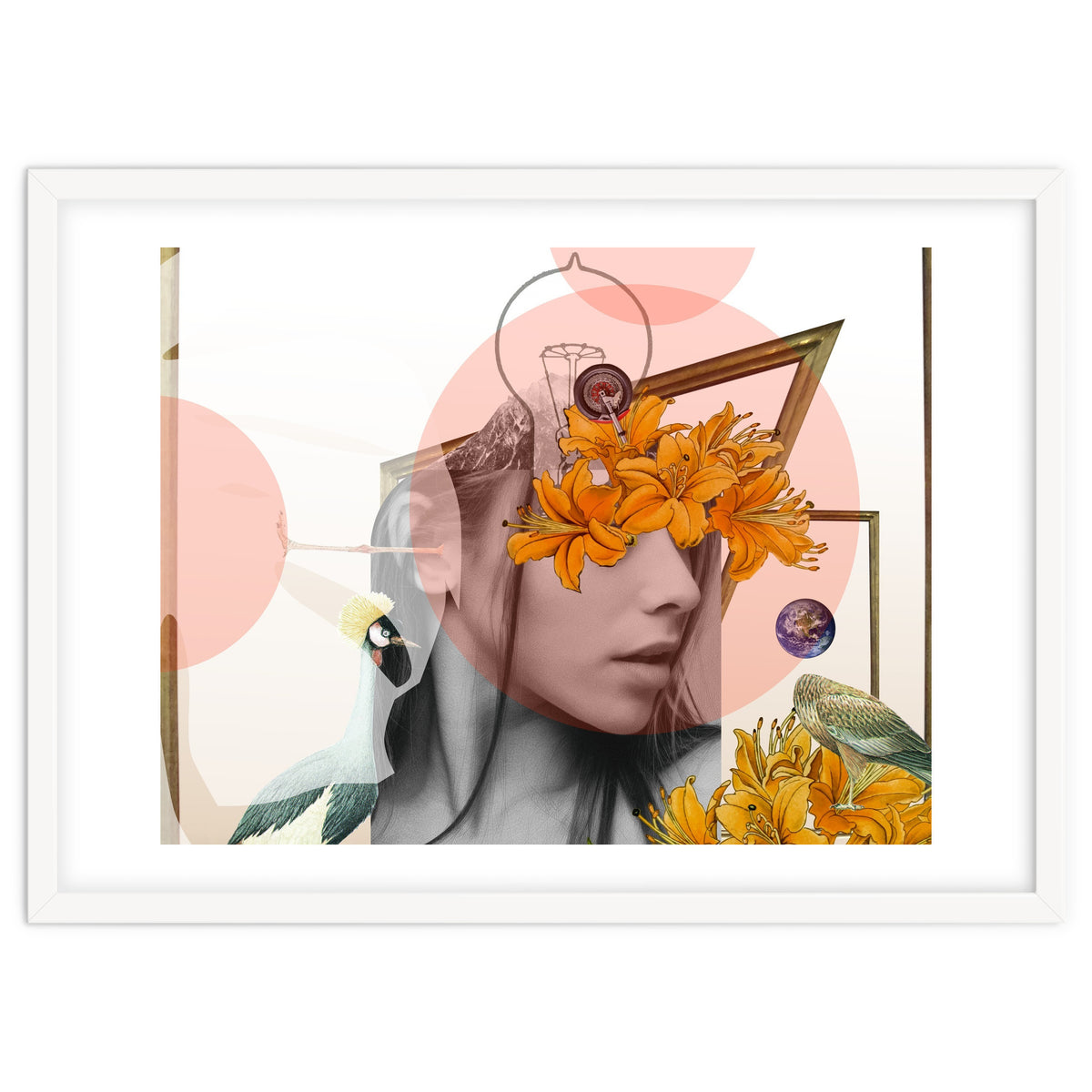 Dreamland Division · D