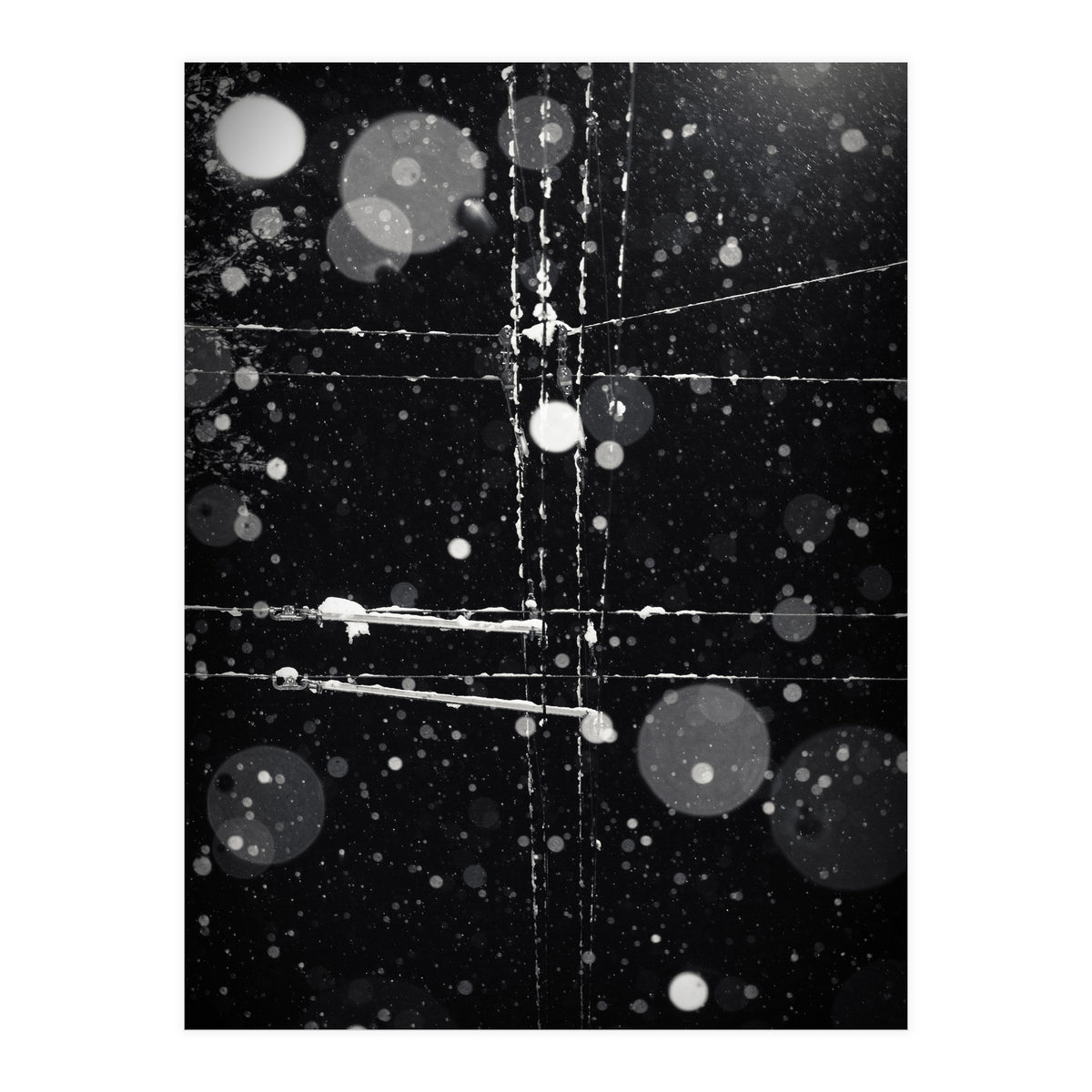 chaos theory (Print Only)