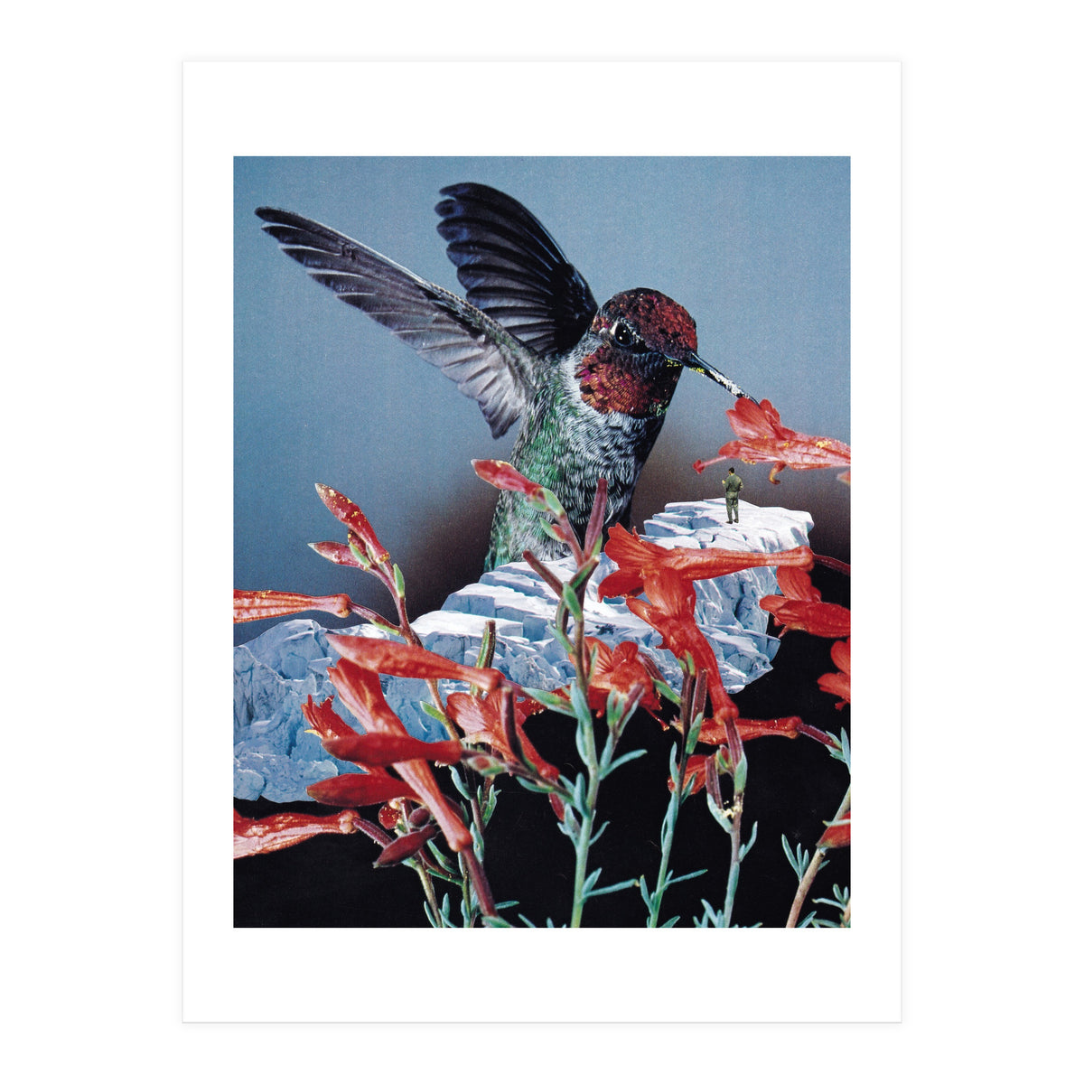 Bird Trainer (Print Only)