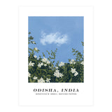 Odisha, India (Print Only) thumbnail