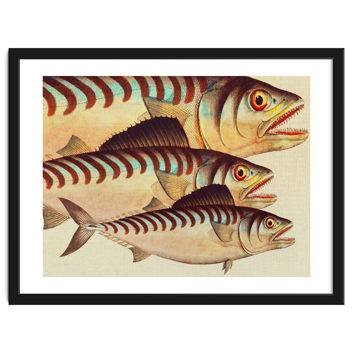 Fish Classic Designs 8