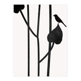 The Bird Noir (Print Only) thumbnail