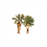 The Palms (Print Only) thumbnail