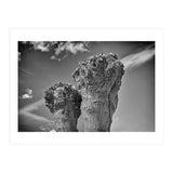 Cut down 2 (Print Only) thumbnail