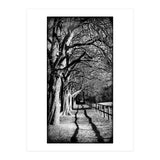 Light and shadows (Print Only) thumbnail
