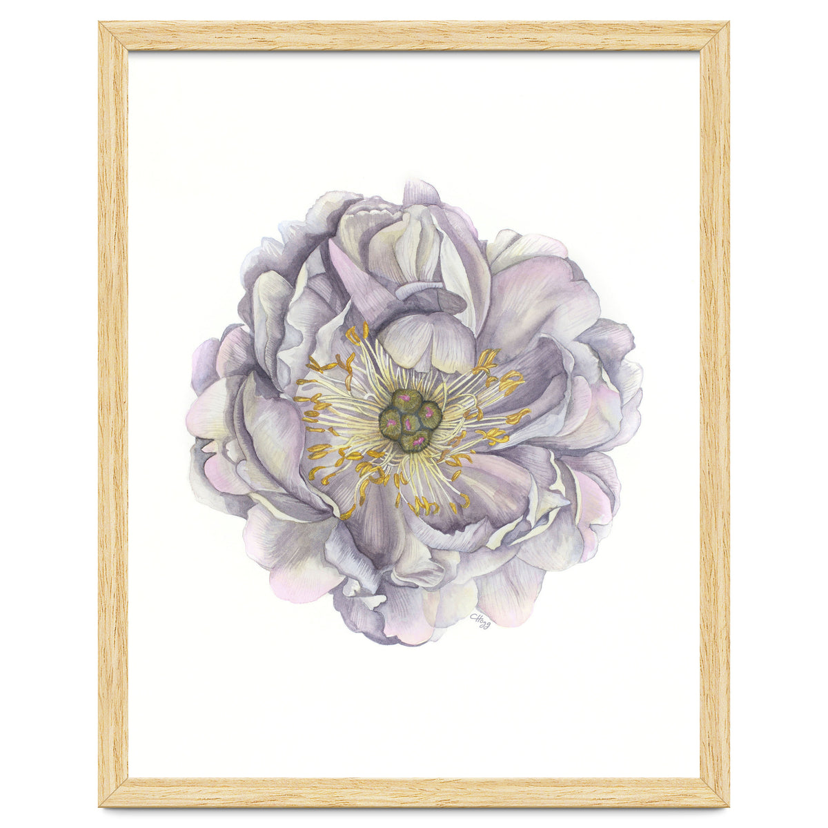 A Peony In Grey Std