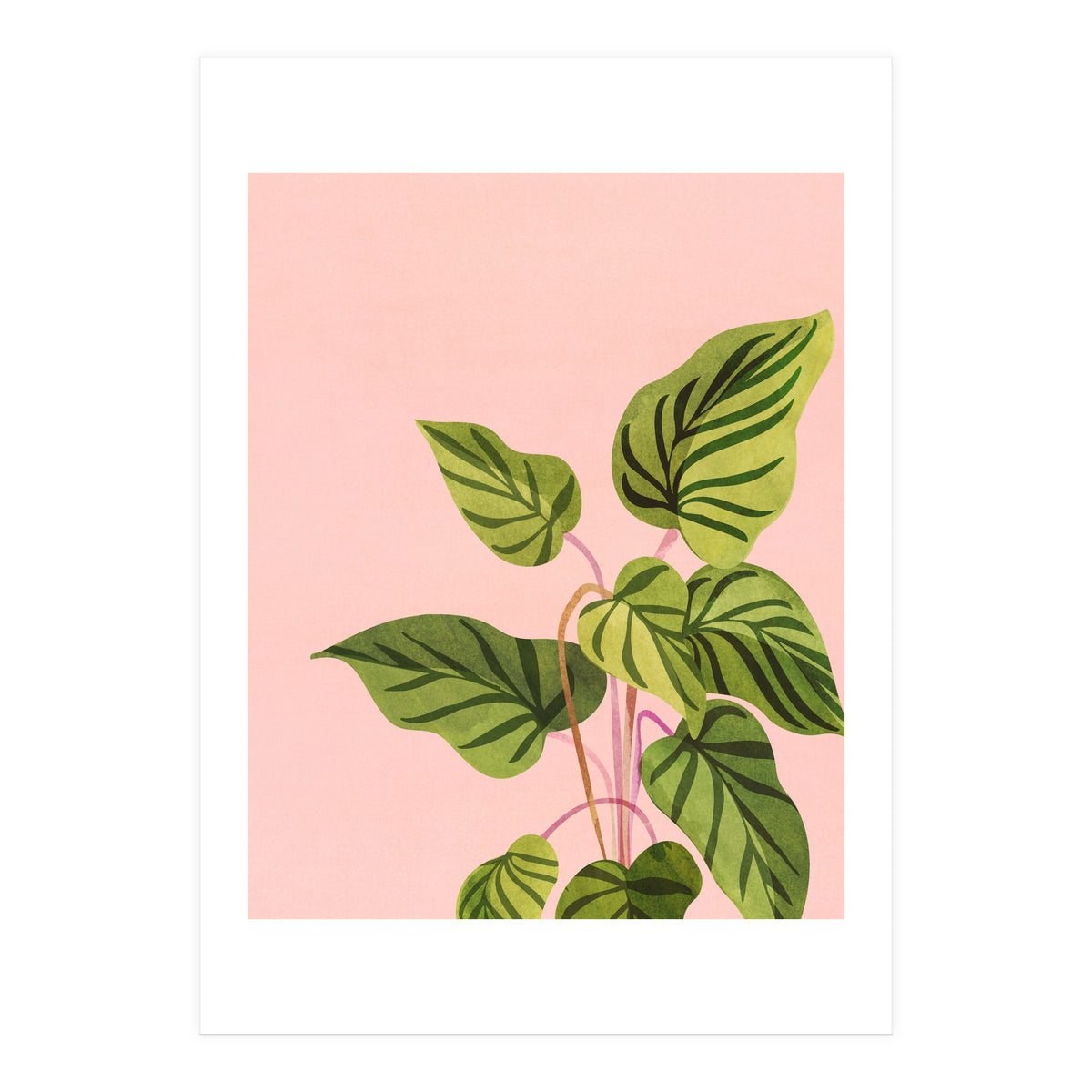 Tropical Rising (Print Only)