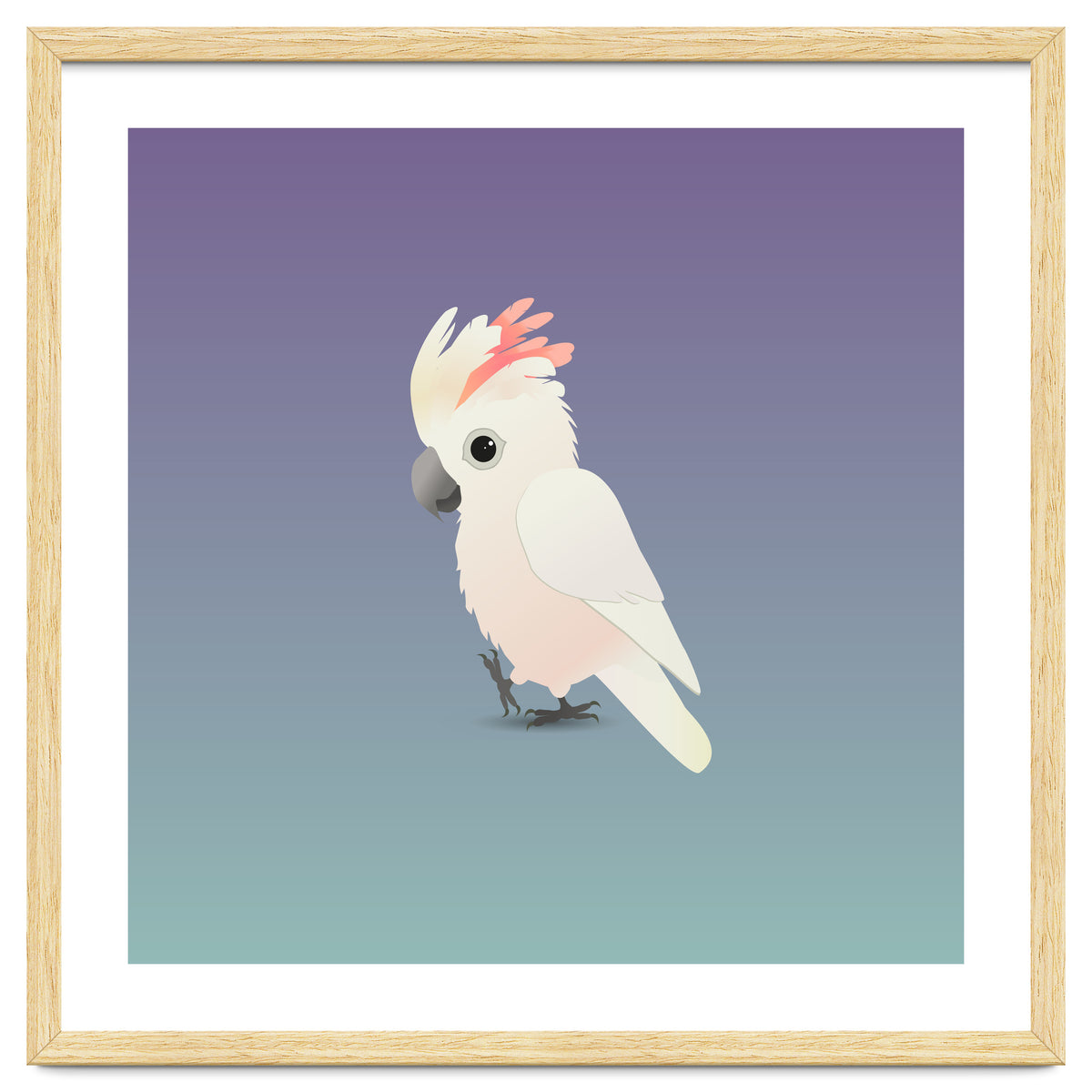 Salmon-crested cockatoo