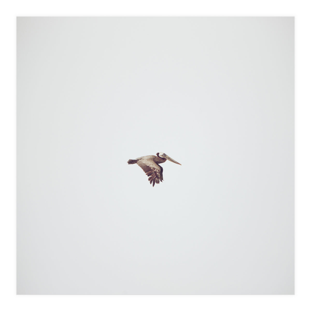Solo Flight (Print Only)