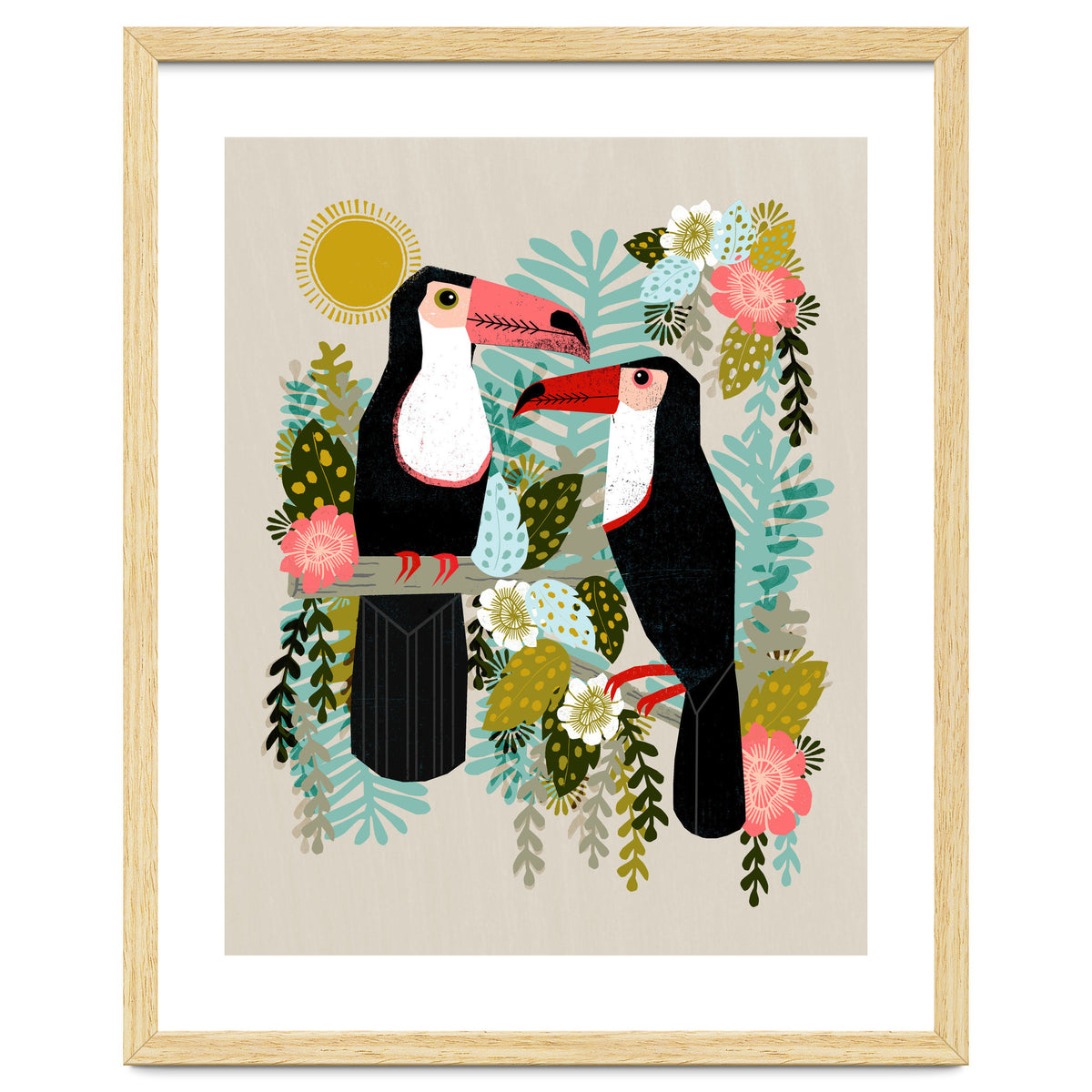 Toucans