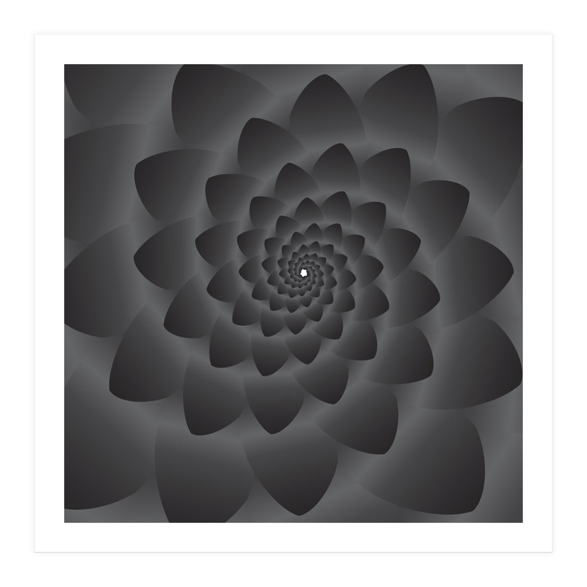 3 D Modern Black Floral (Print Only)