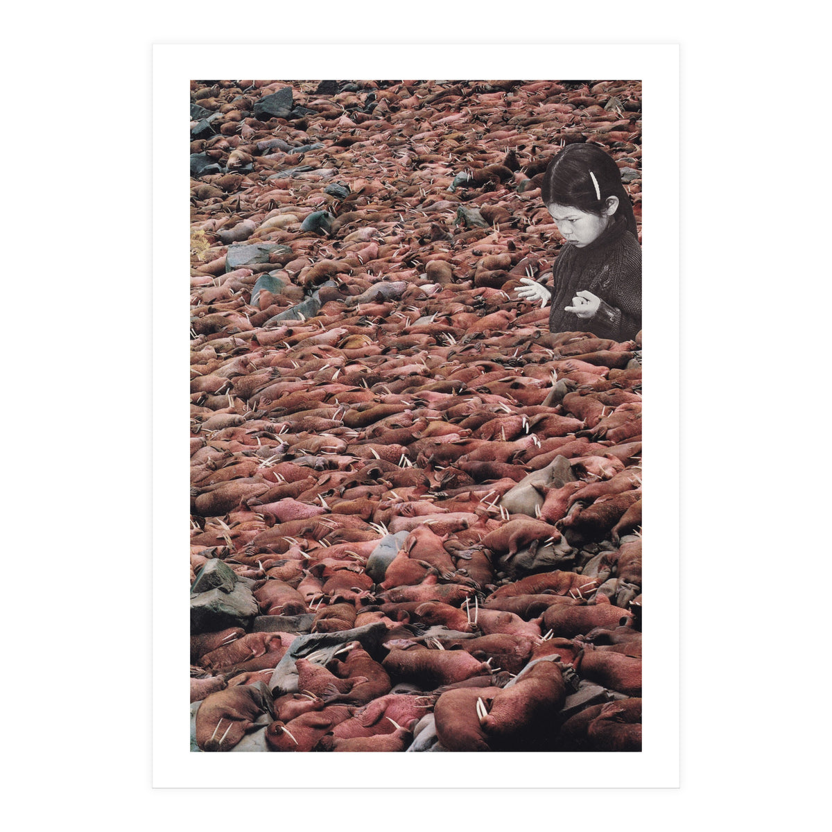 Counting Walrus (Print Only)